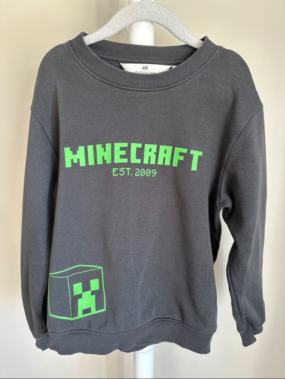 H&M x Minecraft Long Sleeve Crewneck Sweatshirt 6X/7